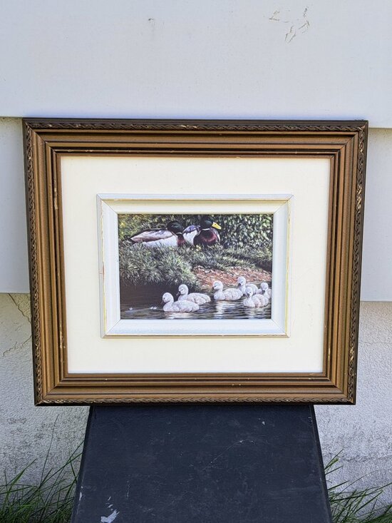 Other - Framed Nature Print Of Ducks